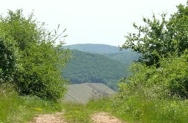 Vue du Mâconnais